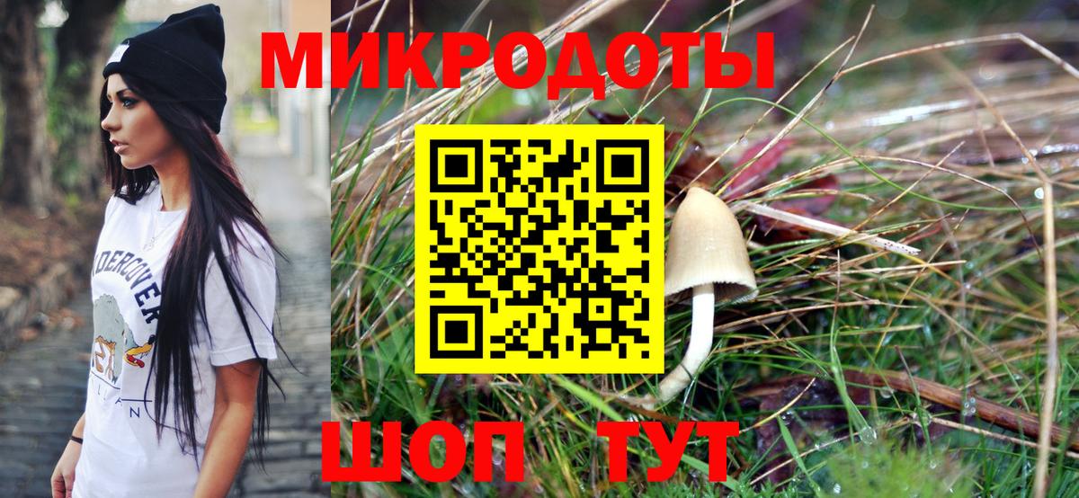 Севастополь  Псилоцибиновые грибы Cubensis  Вход с VPN 