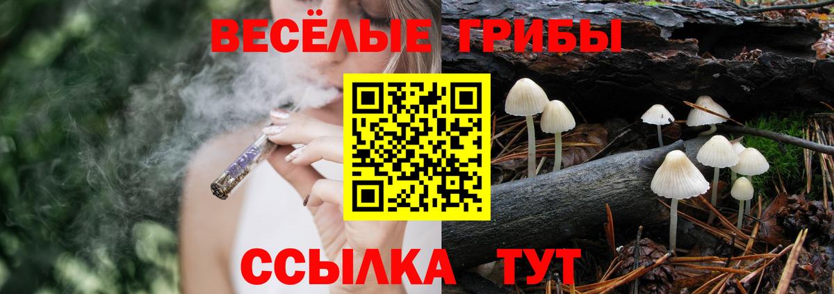 Псилоцибиновые грибы GOLDEN TEACHER Севастополь